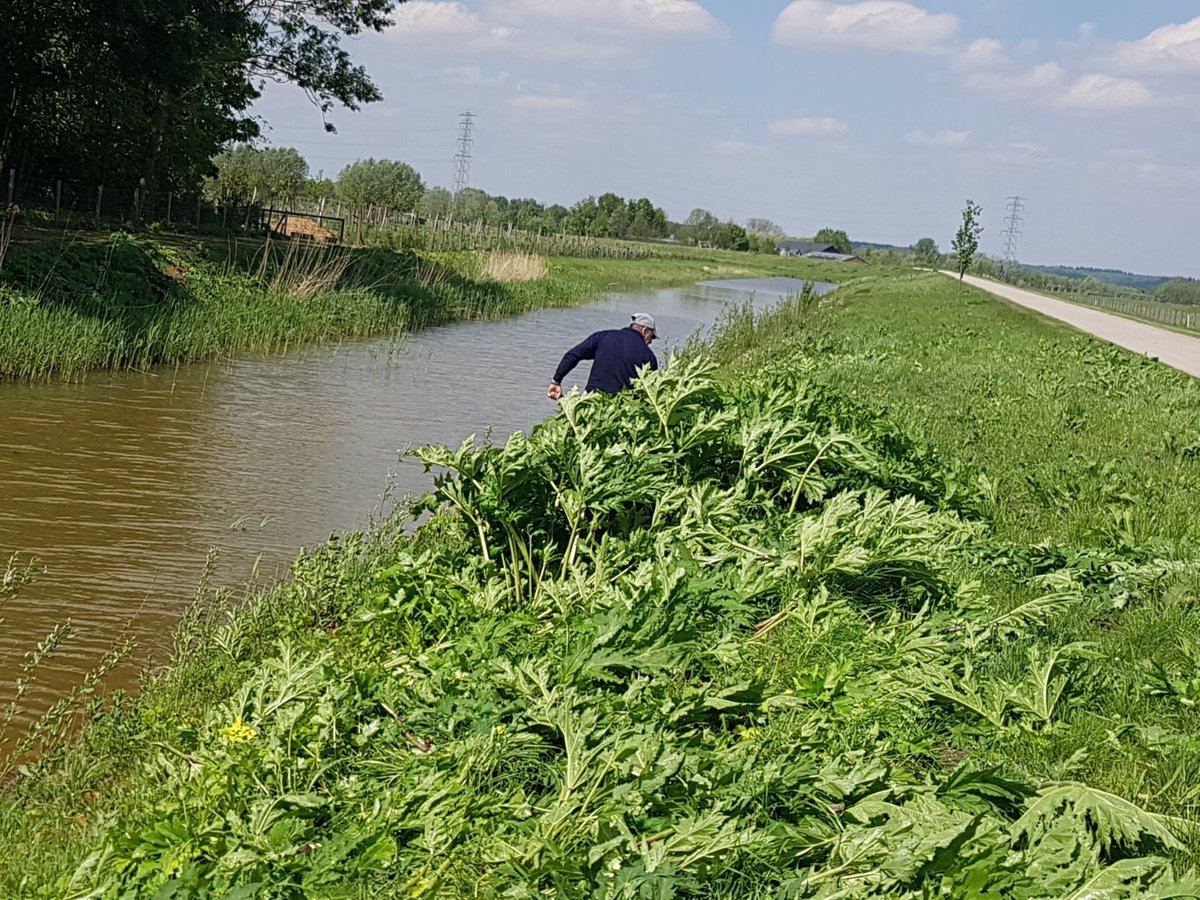 Betuwe_WSRL tweet media