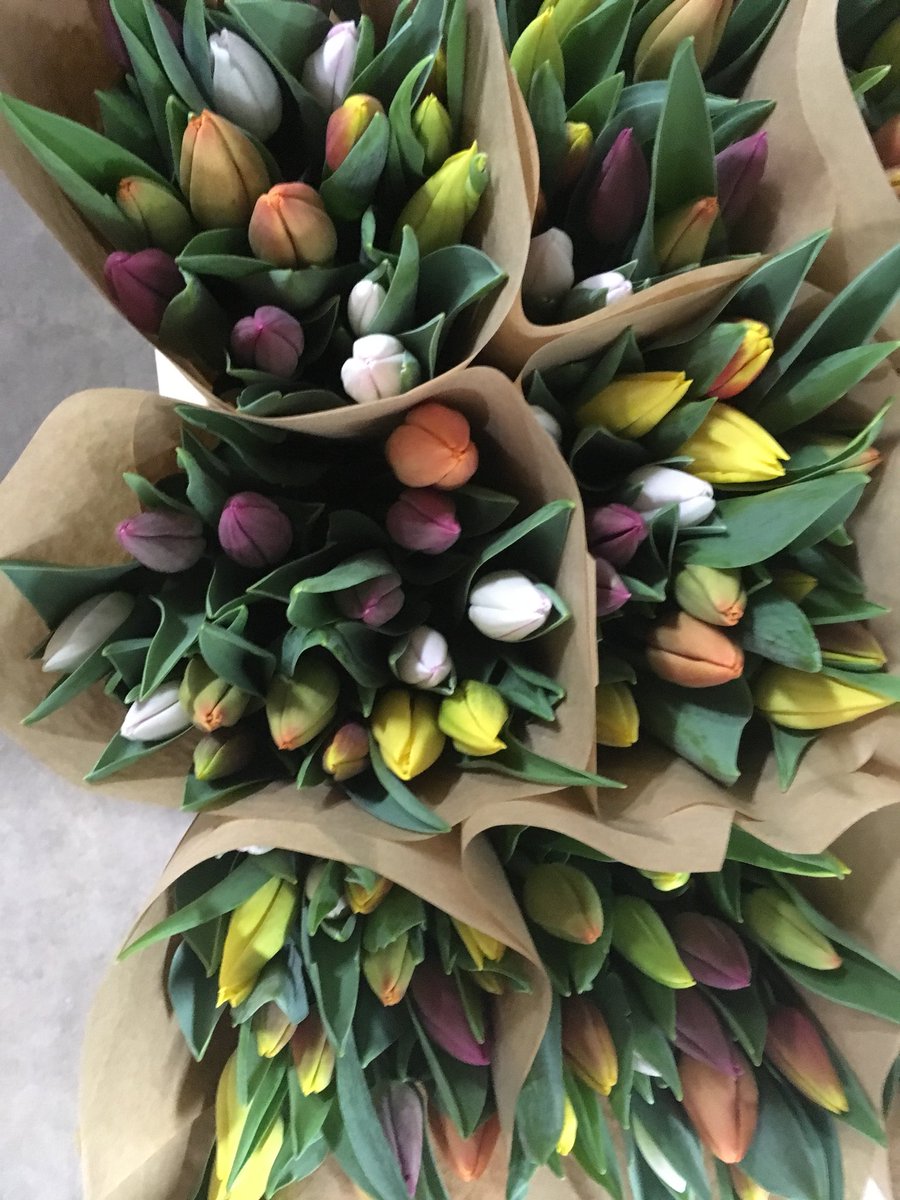 PEIANC - Employment tweet media