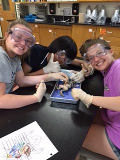 Best day of the year in CP Biology! #eastsidepride #WEareLakota