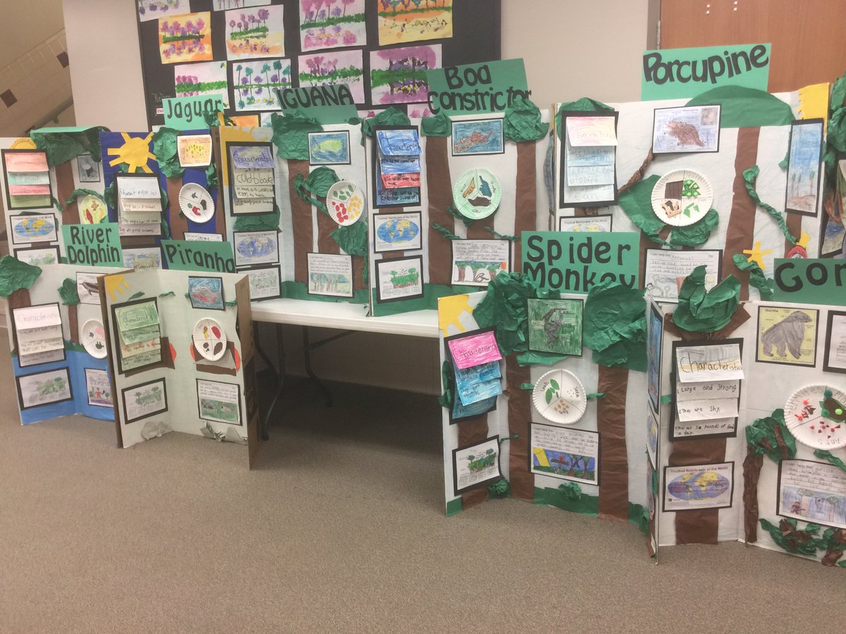 BushQUEST's tweet image. It&apos;s real today: K-3rd QUEST Fair  #celebratelearning #sharelearning