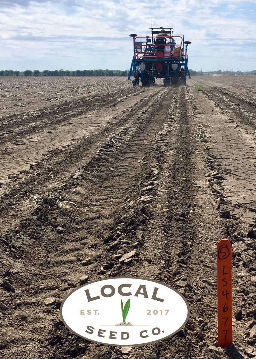 RevereSeed's tweet image. Yet another, Local Seed Co. soybean strip trial planted! - Greenville, MS. 
We perform intensive testing to ensure the best products for our customers! #GoLocal #LocalTesting #BiggerYields #RightFromTheStart