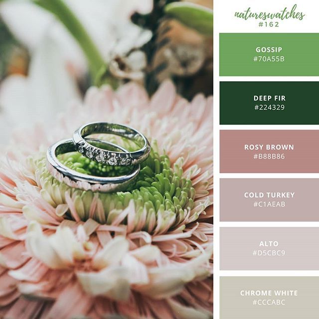 natureswatches's tweet photo. [162] The secret of a happy marriage is finding the right person. You know they're right if you love to be with them all the time (Julia Child). Photo by Nick Karvounis, taken in Copenhagen, Denmark.

#natureswatches #wedding #ring #bouquet #colorinspira… https://t.co/GV3vLLNaL9 https://t.co/FES2J0RZ63