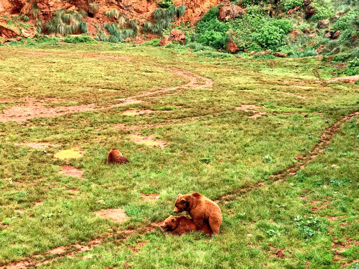 Guia en Cantabria tweet media