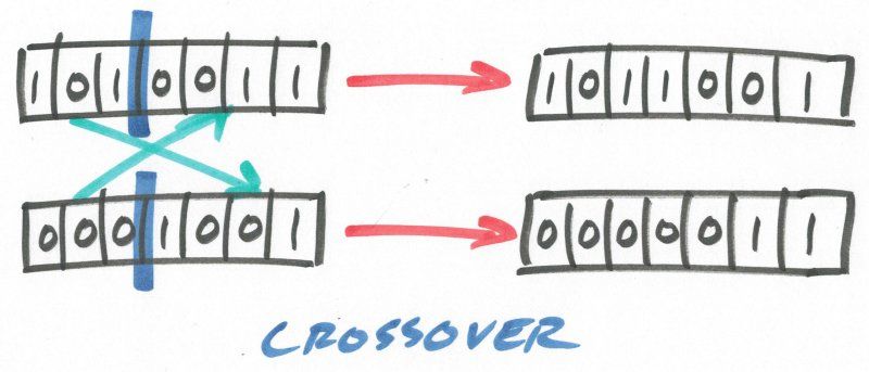 kdnuggets's tweet photo. Genetic Algorithm Key Terms, Explained https://t.co/kOpmVQGDNg https://t.co/2zxPTZlWXj