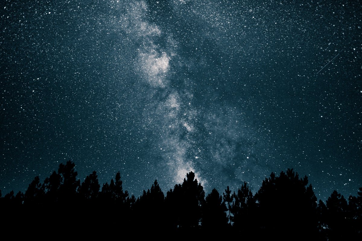 omar_poletto's tweet photo. "Un tweet senza foto è come un cielo senza stelle".
cit. @nicocappelletti
#IUSVE #livetwitting https://t.co/tfBGReB3Eo