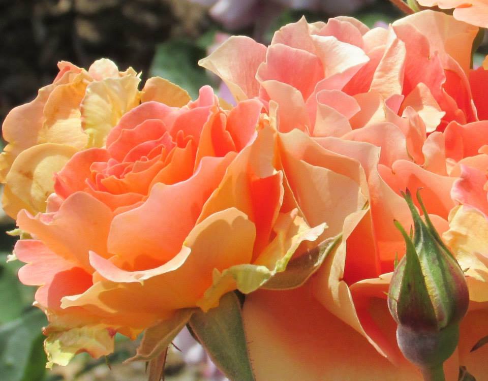  happy birthday!  May the Lord continue to bless you and your family. 