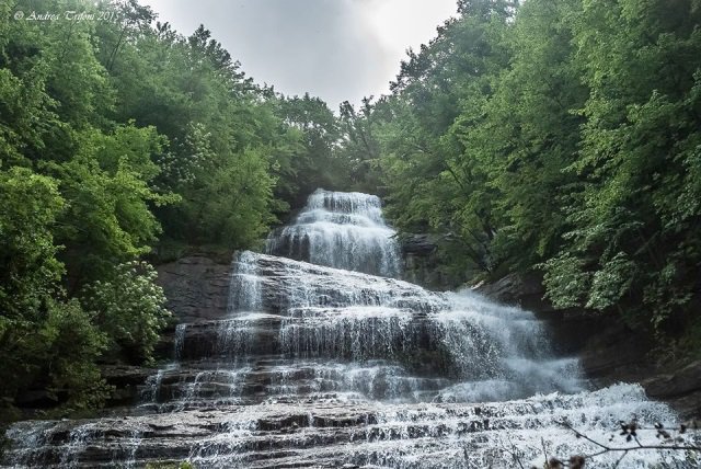 Avete voglia di fare #trekking? Una gita alle Cascate della Prata e della Volpara è quello che fa per voi! #Marche #destinazionemarche

terredelpiceno.it/cosa-scoprire-… via <a href="/Terredelpiceno/">Terre del Piceno</a>