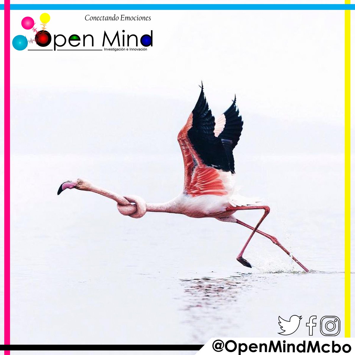 OpenMind_Mcbo's tweet photo. Si sientes que cuando buscas agencia de publicidad no escuchan tus ideas, y siempre tienes uno nudo en la garganta, te sugerimos probar nuestro servicio #marketingdigital #opnemindmcbo #creatividad #diseño #neuromarketing #neurociencia #publicidad #redessociales #calidad https://t.co/J9JhkB0UA4
