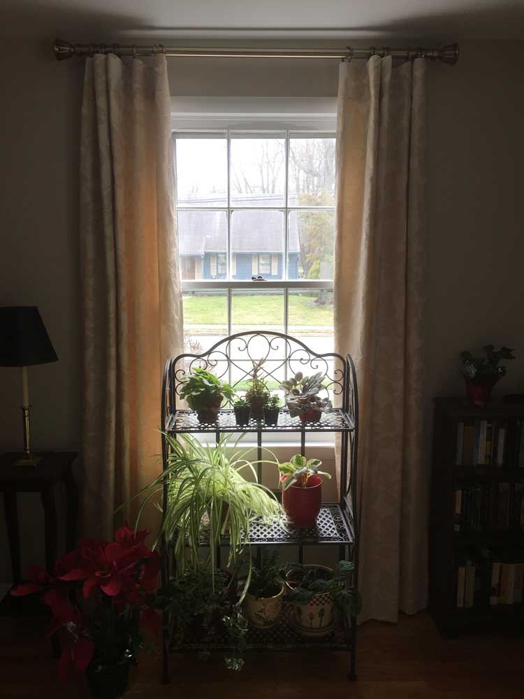 RegalDrapes's tweet photo. Denise from NJ shared these lovely photos of her recent drapery project: "Thank you for your help, we love the drapes!"

Flat panel drapery with decorative hardware.  #CustomerSuccess #interiordesign https://t.co/QwhOkJTz0H