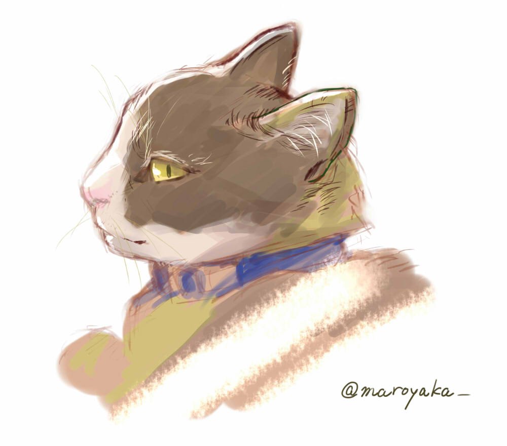 「祖父母の家で飼ってる猫 」|愛島まろたのイラスト