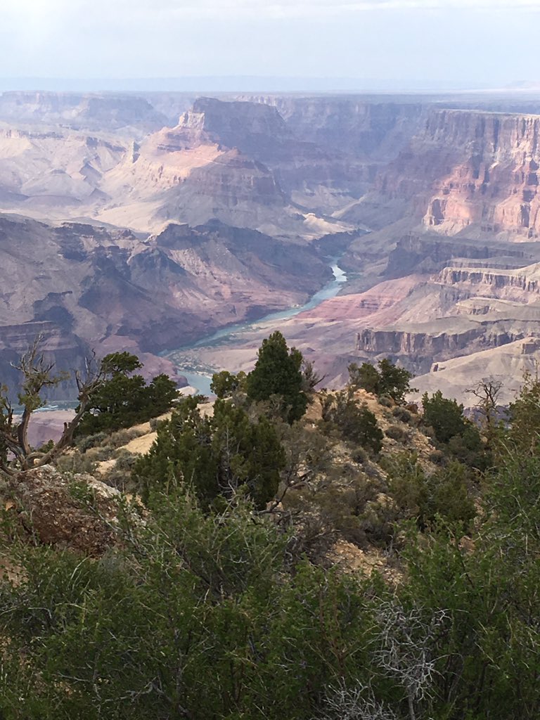 cldebart's tweet photo. Grand Canyon is a must see, totally breathtaking and in awe of its beauty! https://t.co/7t9X5W4O0D