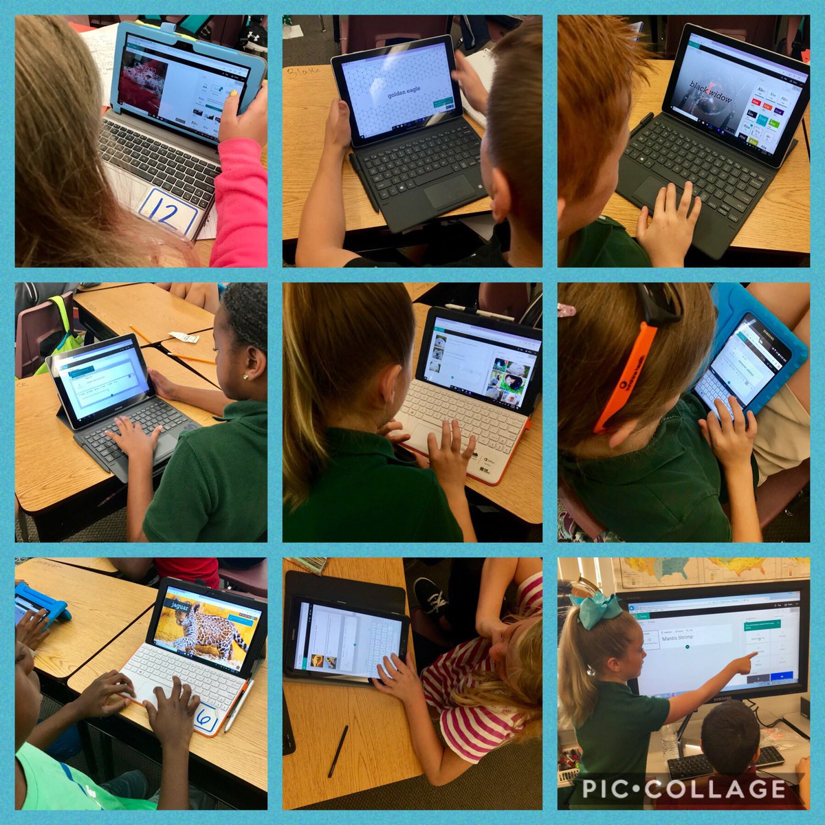 OrlowskiHCPS's tweet photo. Ss have to make a product to enhance their research project. So many are excited to learn how to make a @sway for the first time! By the end, Ss were teaching other Ss. @ColsonES @MicrosoftEDU @HCPSArea7 #ColsonProud #tech https://t.co/41ZzPgZZH5