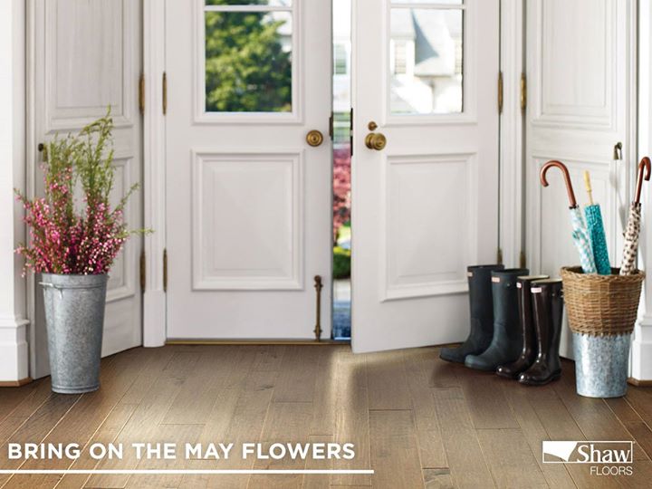 Staff_Carpet's tweet photo. April showers had nothing on these waterproof Floorté floors. https://t.co/KoEkKHYexF https://t.co/CP0pA5Fd1R