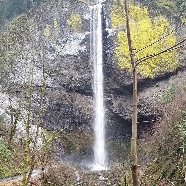 Gorgeous Gorge. #WaterfallWednesday
°
📸 February 2018
📍 Columbia River Gorge, OR
°
°
°
#ColumbiaRiverGorge #Waterfall #waterfallwizards #PNW #PNWonderland #PacificNorthwest #PNWdiscovered #photography #naturephotography #Scenic #landscape #Cascades #… ift.tt/2HORJcP