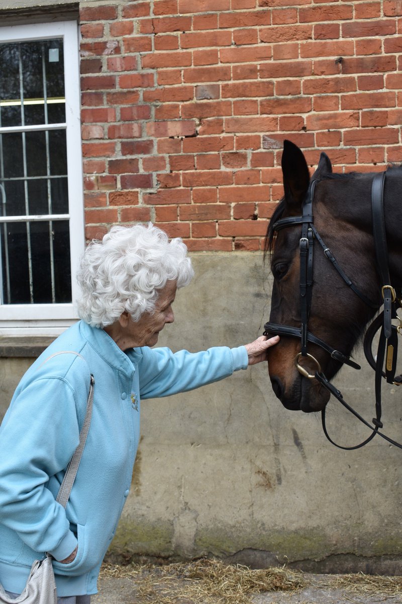 SilverWishesQC's tweet photo. 4 @QuantumCareLtd residents were taken to Brunei Stables at the Royal Military Academy at Sandhurst for their Silver Wish: to spend time with horses! An amazing trip for our residents and staff who went! https://t.co/6j1lL05oVr https://t.co/WyIH9DDiPp
