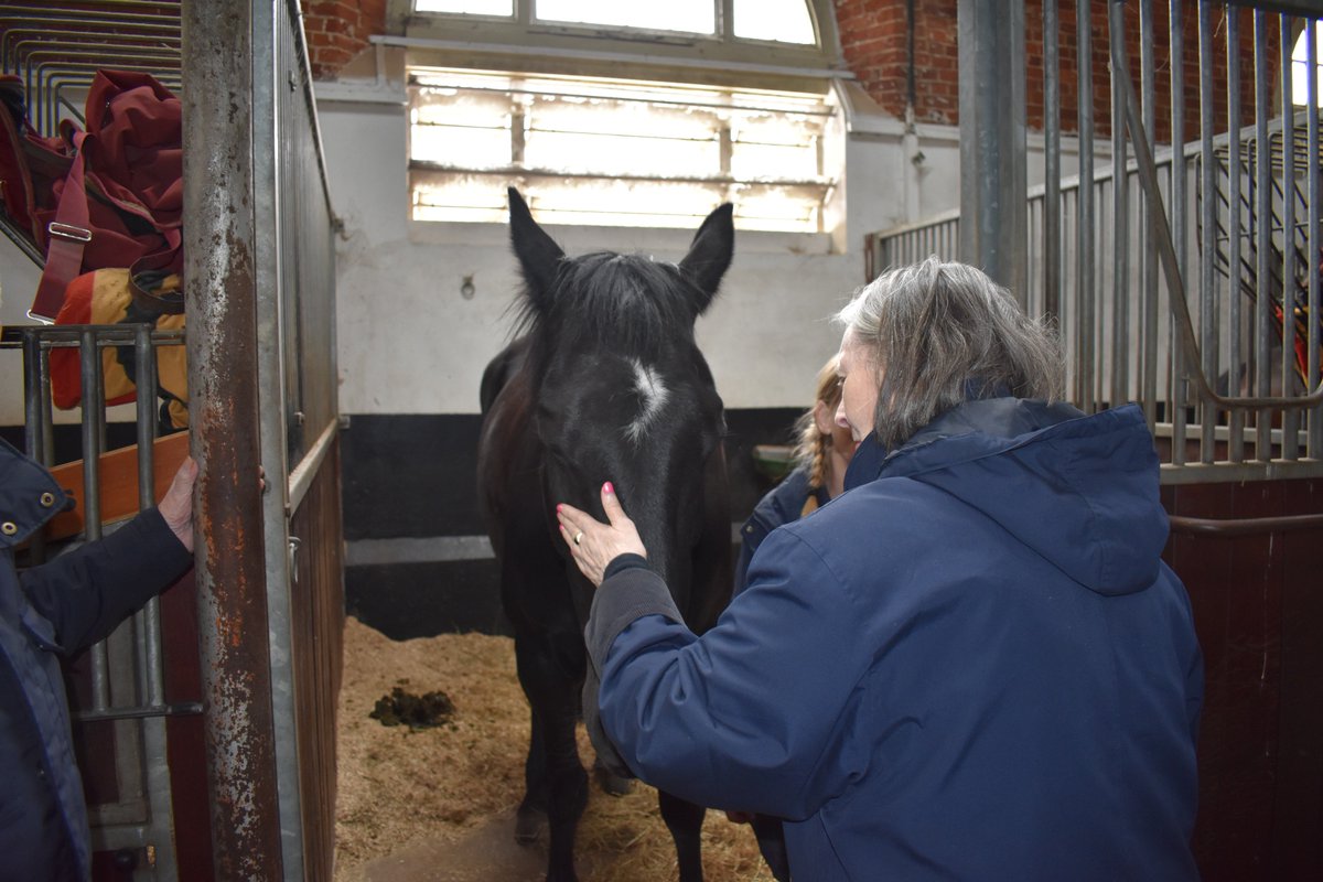 SilverWishesQC's tweet photo. 4 @QuantumCareLtd residents were taken to Brunei Stables at the Royal Military Academy at Sandhurst for their Silver Wish: to spend time with horses! An amazing trip for our residents and staff who went! https://t.co/6j1lL05oVr https://t.co/WyIH9DDiPp