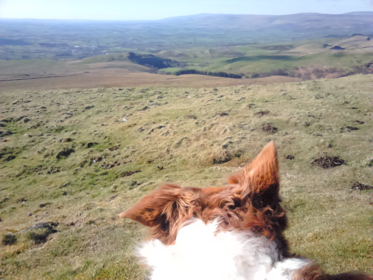Kirkby Stephen & Upper Eden Visitor Centre tweet media