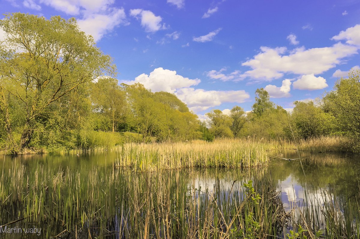 Got back on the landscape hype yesterday 👊👊👊👊👊... #fenland #landscape_captures #fens #thefens #photographer #tones