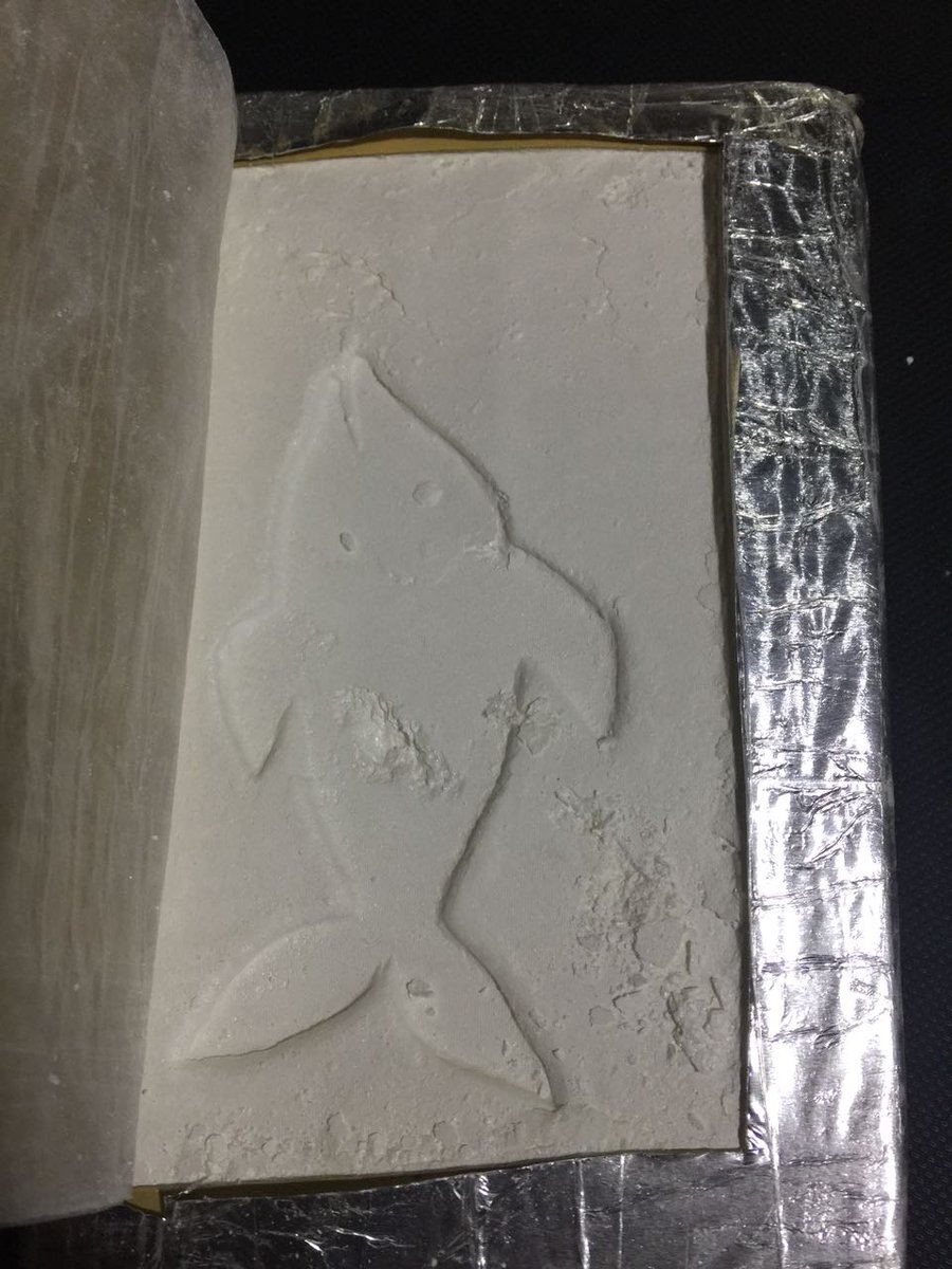 PatoBullrich's tweet photo. Tres mujeres llevaban adosados a su cuerpo 8 kilos de cocaína con el isotipo de un delfín, marca que usa el Cartel del Golfo para identificar su droga. Las detuvimos en #Salta a través de @gendarmeria, e incautamos el millonario cargamento. Rumbo a una #ArgentinaSinNarcotráfico https://t.co/Kt4EUC3iEk