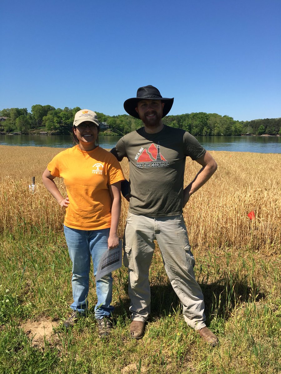 Sreejata116's tweet photo. Work doesn’t seem so much work when you have awesome lab mates. Field season just kicked off at our #BiodegradableMulch plots 🌞🌞with @seeMEEtweet https://t.co/PlOyhuSkub