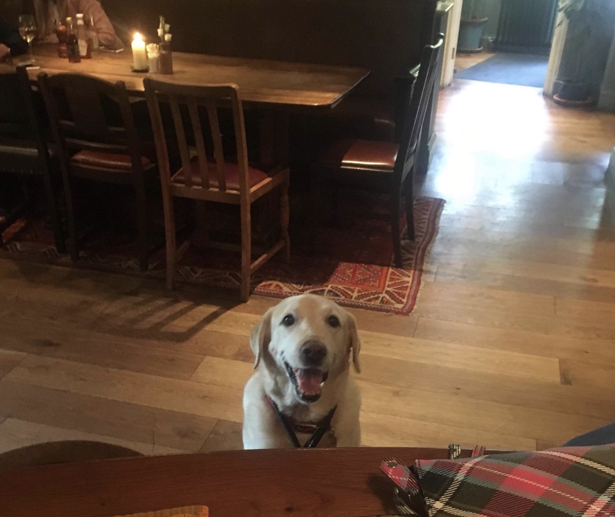 Thanks for popping in earlier Woody!

One of our favourite four-legged customers!

🐕🐕🐕