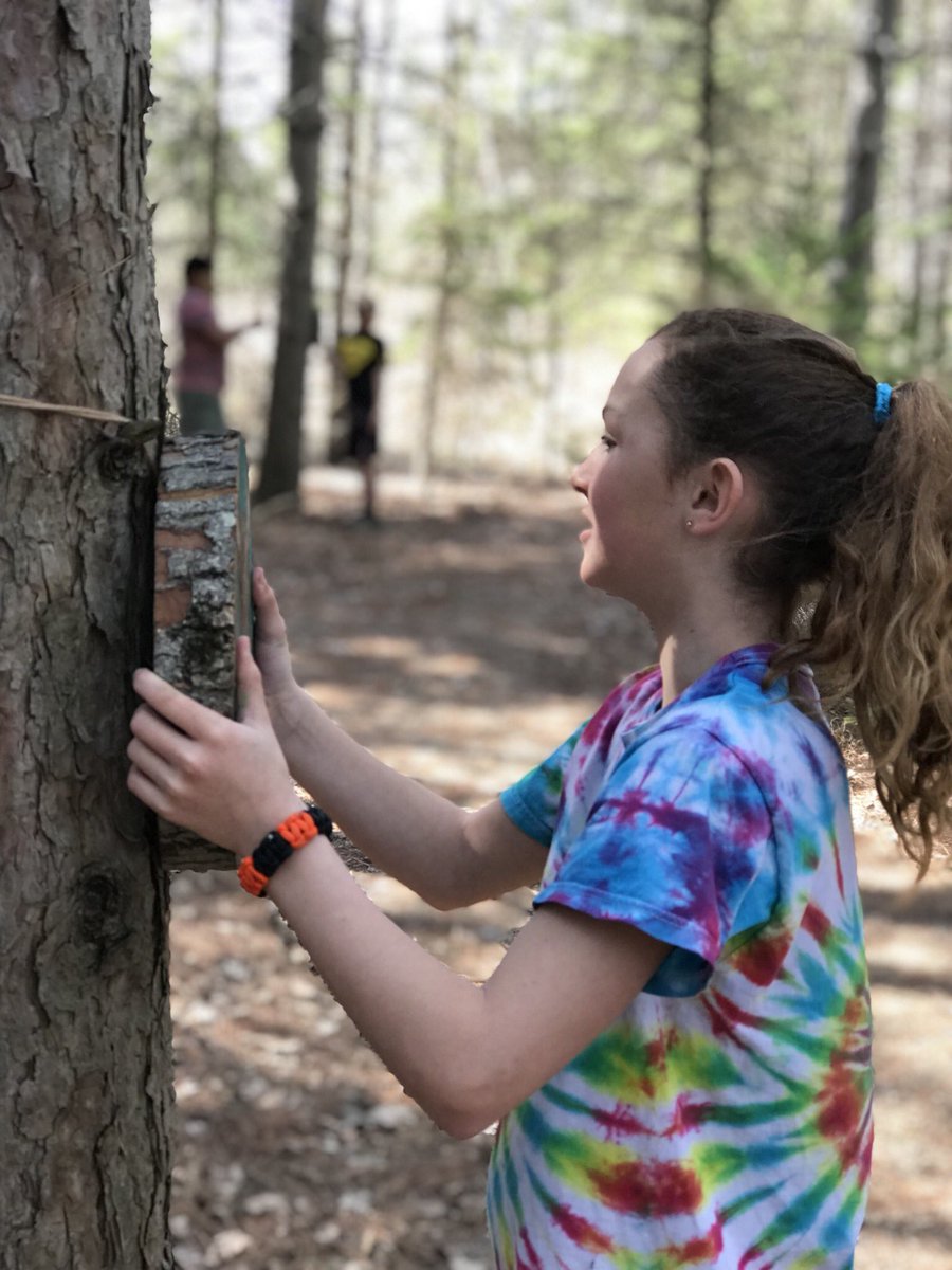 CPiczkowski's tweet photo. 5th graders preparing for the art gallery walk through the school forest. What a terrific group of workers and artists! @CPiczkowski https://t.co/1P7IAgE6Ab