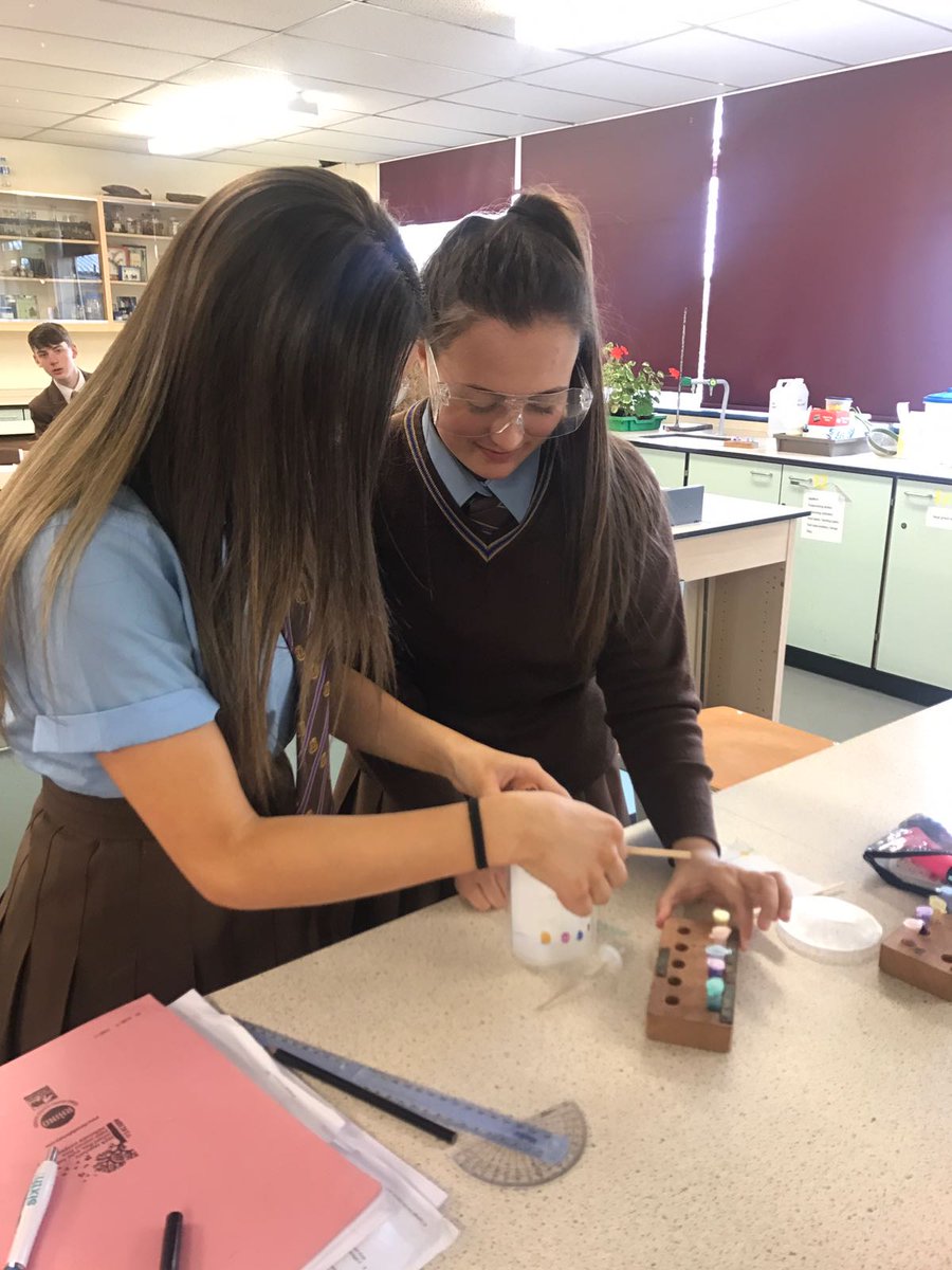 tsc_science's tweet image. Miss Jones&apos;s Year 11 intervention today #chromatography #requiredpractical