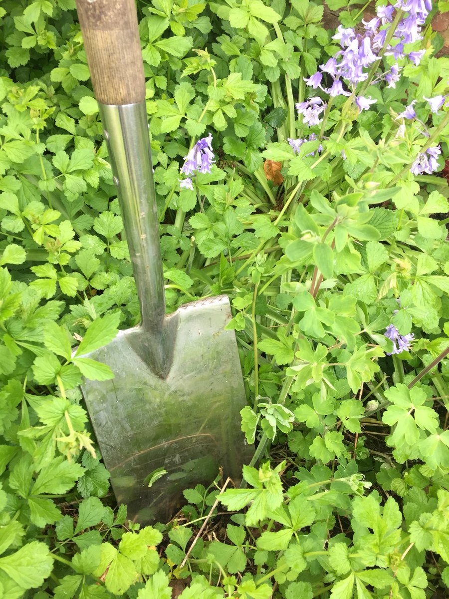 Time to get your wellies on and dust off your spades. It’s #nationalgardeningweek We’ve begun to get a real taste of Spring from our kitchen garden. Keep in touch to discover new dishes we’re creating with our garden gatherings. #springgarden #kitchengarden #homegrownfood