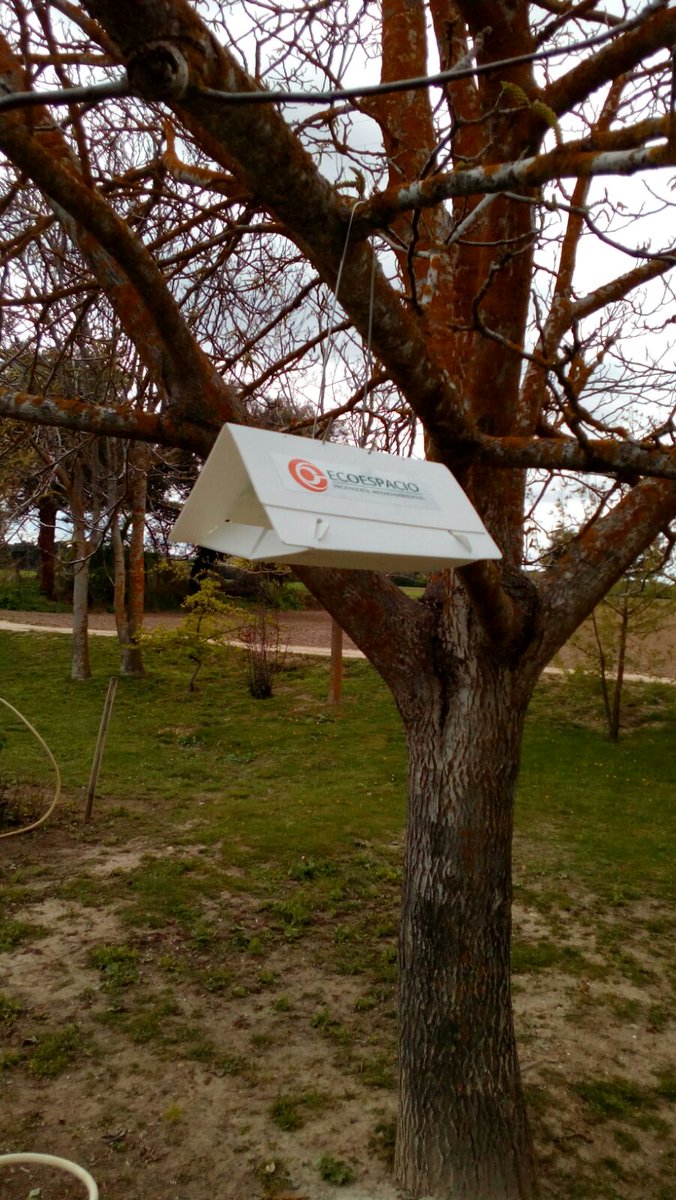 Para una correcta gestión de plagas, el primer paso es conocer las densidades poblacionales.
controlplagasvalladolid.es