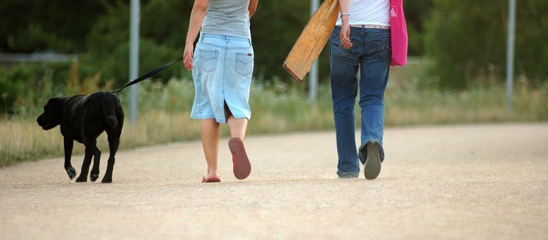 It's that time of year again, please be a responsible dog owner 🐶 saultstemarie.ca/Newsroom/April… https://t.co/jJha6ecJNz