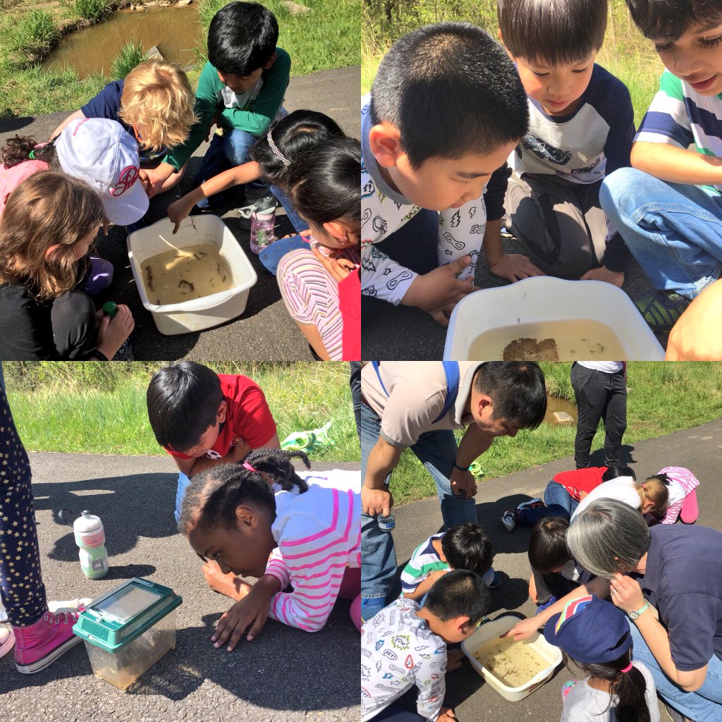WalshMrs_'s tweet photo. We had lots of fun uses using our 5 senses, observing, and exploring animal coverings/habitats at Cub Run Recreation Center! Thank you parent volunteers! 💛 https://t.co/Q9fljgn1yE