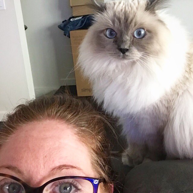 FetchLAWestside's tweet photo. Selfie time with Jagger! #cateyes 🤳 🐱

#makingfetchhappen 📷 by #fetchwlasitter Kelly S. https://t.co/0DOzhGomdx