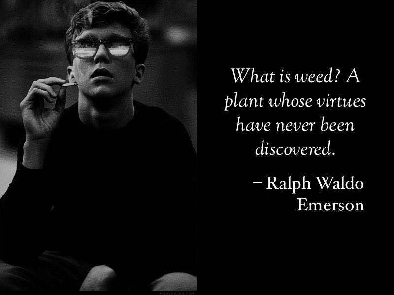 randallpink17's tweet photo. @james_bong13 @WeedEssence @Jweeds_420 @ArmyOfPotheads @4Rare420_Rx @BRad_4_20 @Potlantis @SheSmokesJoints @im420forsure @khyatt2876 @Kooky_420 @dankcreative @TheLoudBank @franic420 @Kunzitoons @Norstackk @SmoknSara420 @wheretobuyvapes @GanjaKittyB @LeeLee9086 @_jena4n @Hippie_of_Love @crystal420_ @tripprrr @CANNiLIVE @EmeraldZoo @mzstoned @boobsNweed @Cogitatorium @theone90x #LegalizeIt #FreedomtoConsume https://t.co/53U6eurpUY