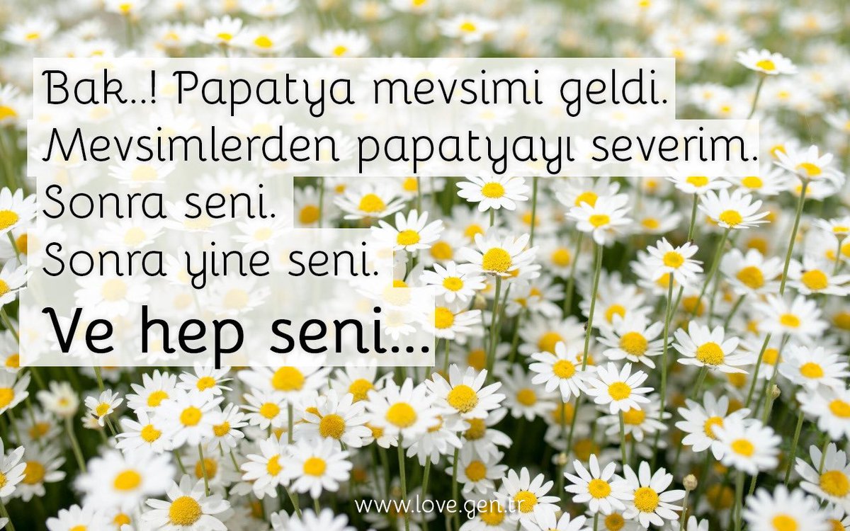 semihmsrl92's tweet photo. 🌼🌼🌼🌼🌼🌼🌼🌼🌼🌼 https://t.co/zQbxC6y8iO