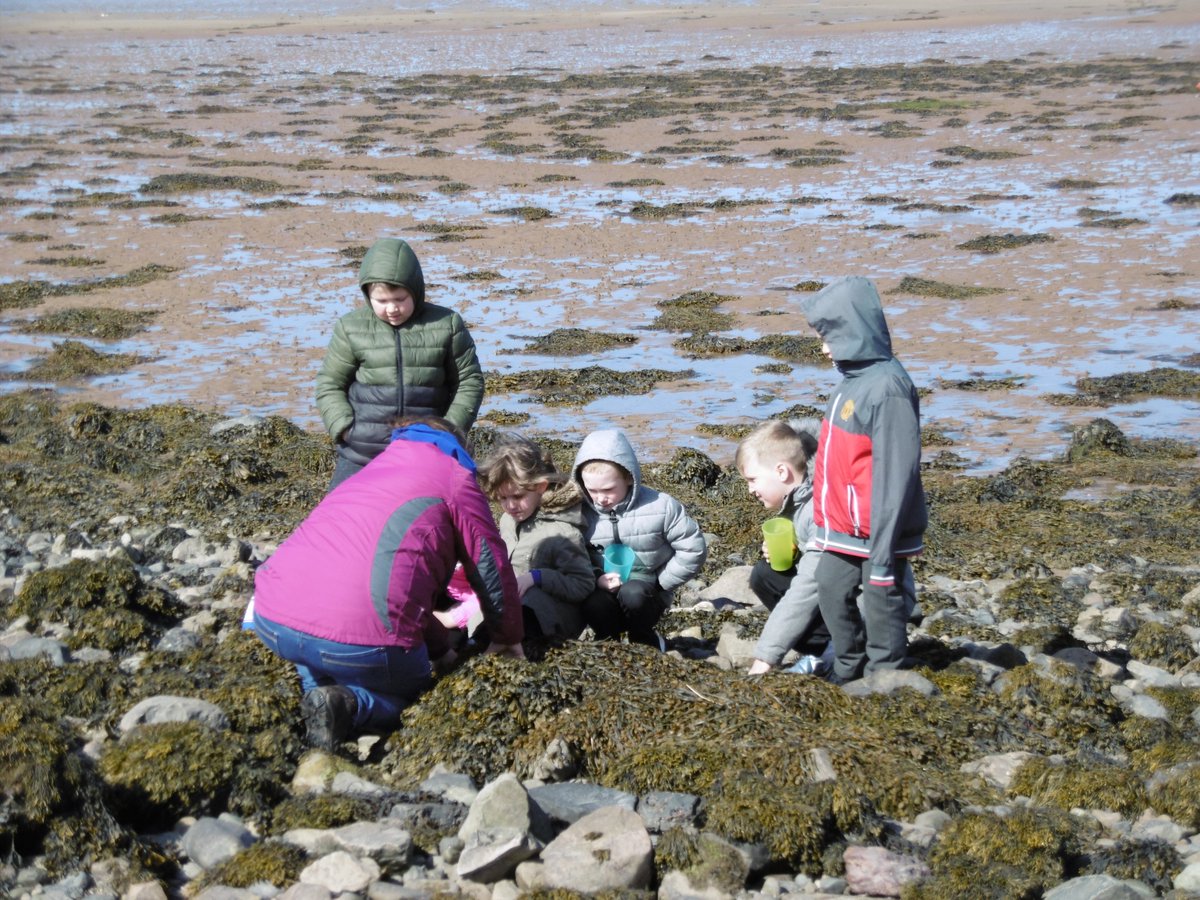 A fantastic day out for the Giraffes! Exploring at the beach and making great discoveries with friends. 😀🦀🌞💨