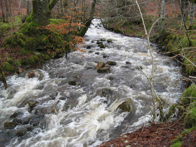 HANTSAR's tweet photo. Search Manager training tomorrow evening and the team will be looking at evaluating river threats. #SMtraining https://t.co/uYc1zvI3dt