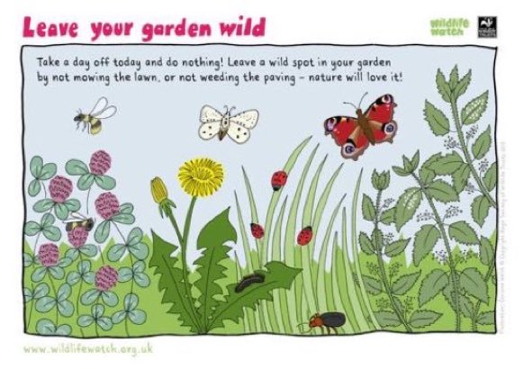 LGSpace's tweet photo. Leaving a wild spot in your garden by not mowing or tidying will create a haven for wildlife - please help nature by doing less! Pic via @wildlifewatch
#gardening https://t.co/mrldBE4UCN