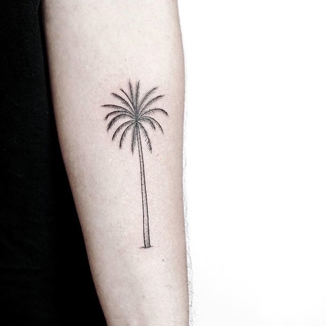 7357 Palm Tree Tattoo Images Stock Photos  Vectors  Shutterstock