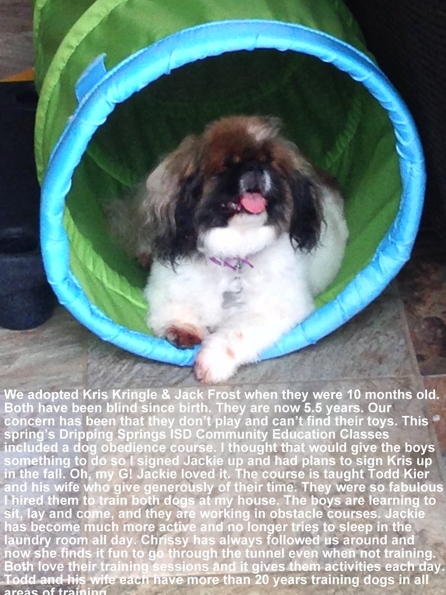 Todd teaches obedience classes, trick classes &amp; has/is trains dogs 4 the hearing impaired, police, diabetics, and the paralyzed. Currently breeding puppies from two incredible dogs to train for the diabetic. Read at K 9 Assistance bit.ly/2HGJLXg