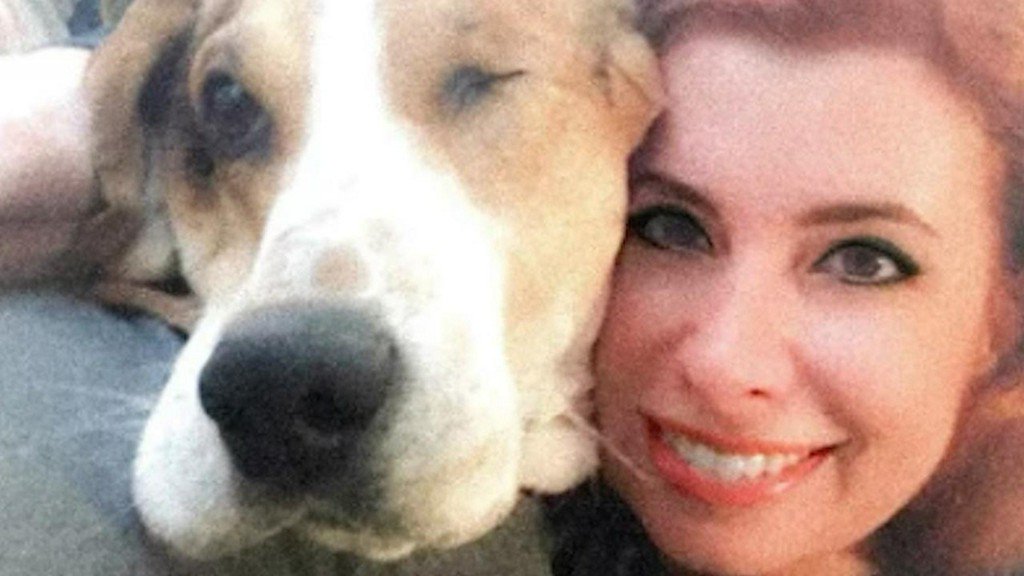 Woman's adopted hound dog sniffs out skin cancer, saving her life bit.ly/2rh9efL