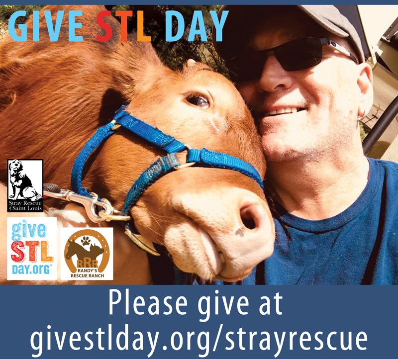 Randy's Rescue Ranch (@SRRandyRanch) | Twitter