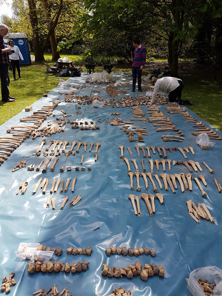 This week we have been spending time sorting the disarticulated material from the Hospital of St John the Evangelist. Already found a number of interesting features which will enhance our understanding of the hospital!