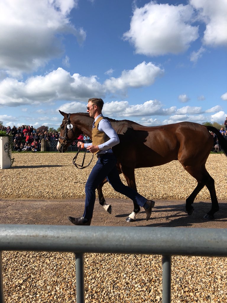 GAIN Equine Nutrition tweet media