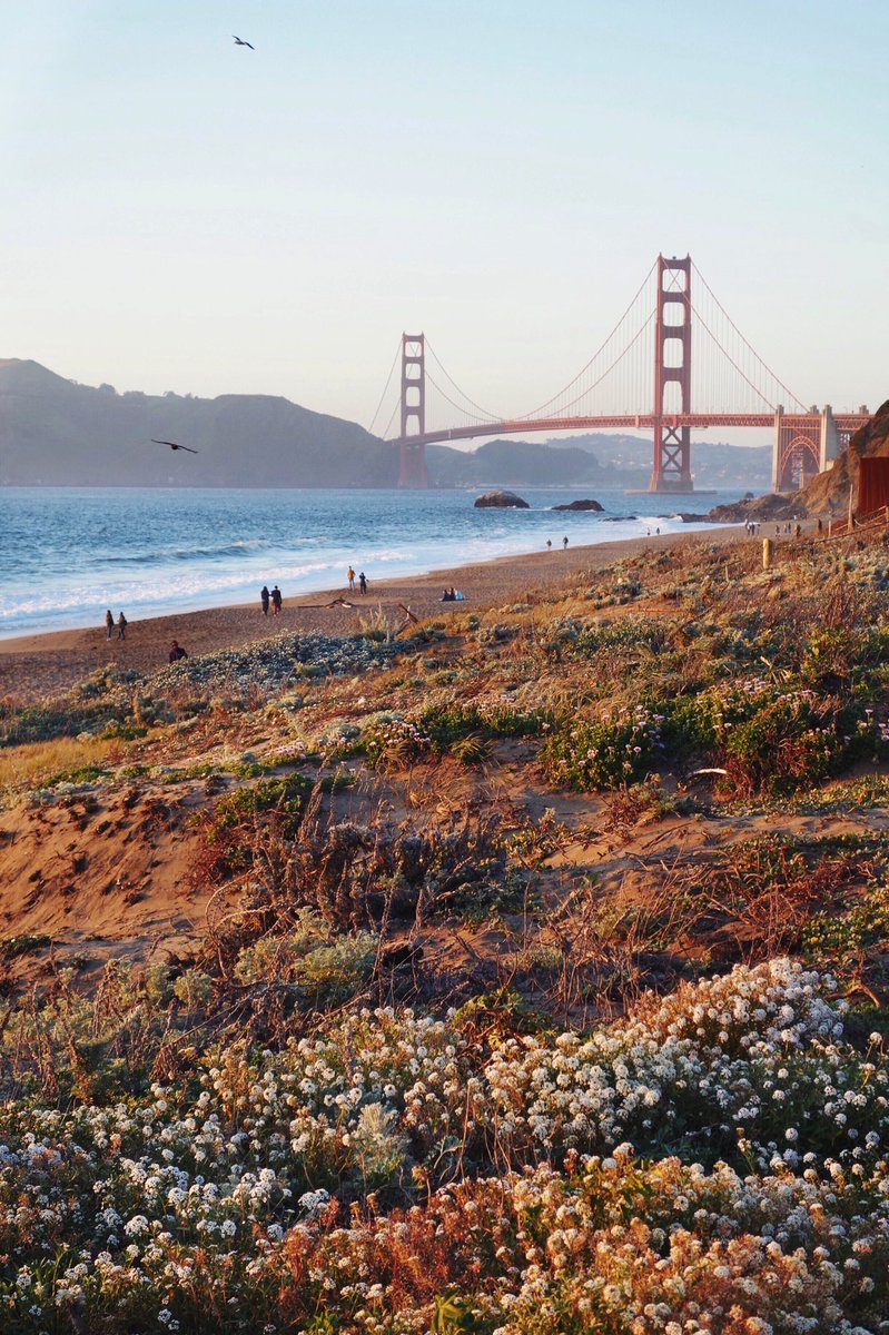 Valeria Moschet tweet media