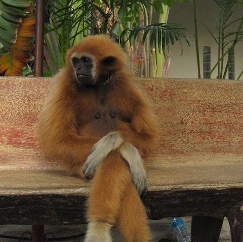 dannikfol's tweet photo. Me waiting for my emotional stability and general well-being to return to me https://t.co/PlGWR90jGG