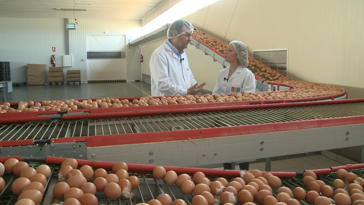 Mañana en <a href="/Hechoencyl/">Hecho en CyL</a>  visitamos la planta de <a href="/GrupoAAguinaga/">Angulas Aguinaga</a> en #Burgos y la granja de camperas de <a href="/HuevosGuillen/">Grupo Huevos Guillén</a> en #León 🥚
👉🏻 A las 22.00 horas en #CyL7