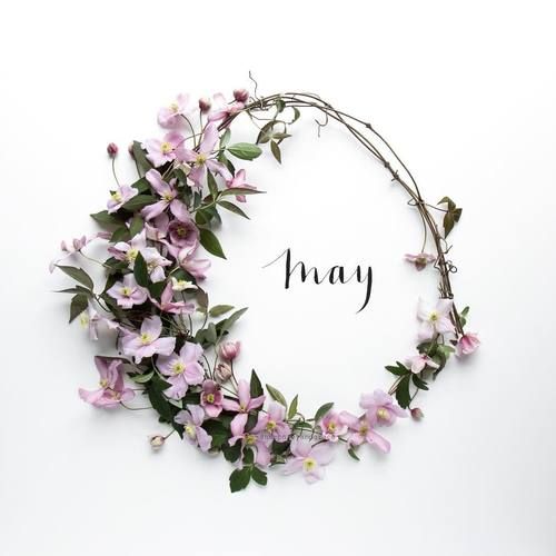 rusbousmx's tweet photo. ¡Buenos días chicas con #curvas! Le damos la bienvenida al mes de #Mayo, ¡qué felicidad y bendición de poder disfrutar de un mes más! Contemos las bendiciones que hay en nuestras vidas, y dejemos las quejas a un lado. ¡Disfrutemos cada momento! #Bienvenidomayo https://t.co/7QHHcJCzi8