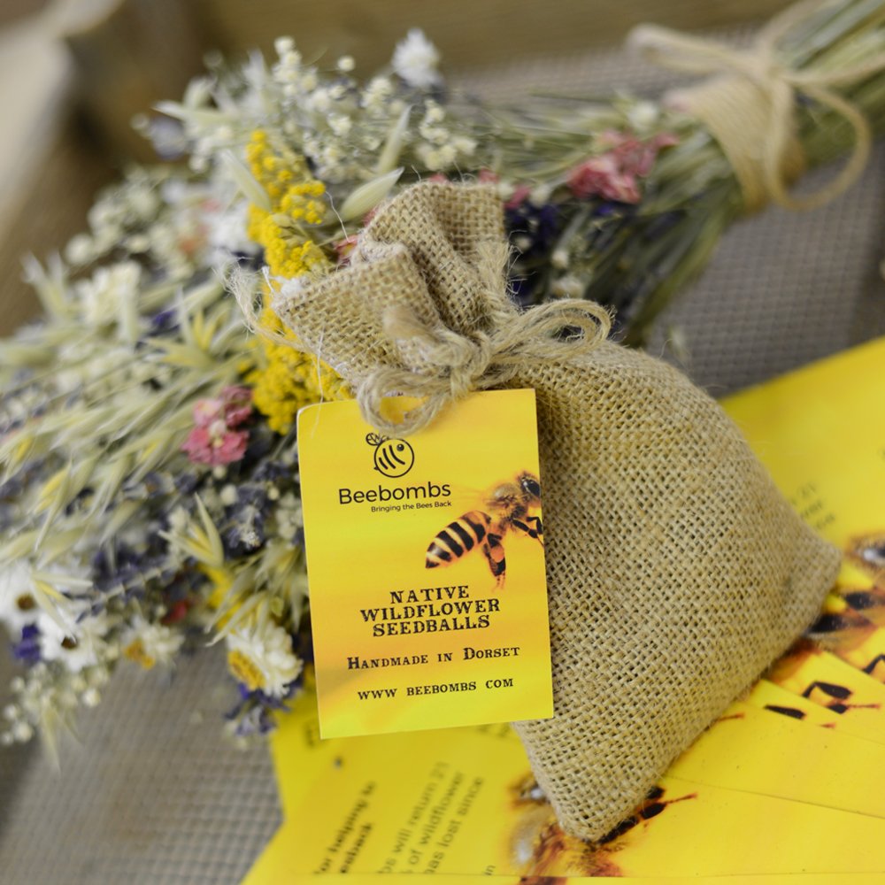 dartsfarm's tweet photo. BEE friendly and celebrate National Gardening Week with these brilliant @BeebombsDorset. Just scatter them on clear ground and watch a wildflower meadow grow, perfect for biodiversity and pollination! πΌ #BringBeesBack #NationalGardeningWeek #NGW #DartsFarm #Gardening #Devon https://t.co/sRsrOHYNKS