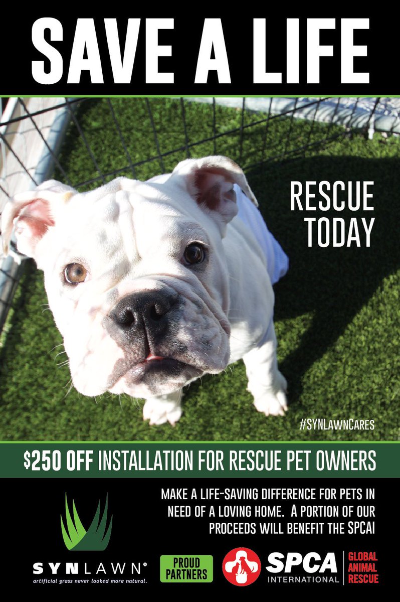 Calling all Arizona pet rescue parents! Claim your *$250 off our SYNLawn pet installations! 🐶 * Offer not valid with any other discounts. Must be requested prior  to proposal. goo.gl/KMx7Bh #WoofWoofWednesday #SYNLawn #SYNLawnArizona