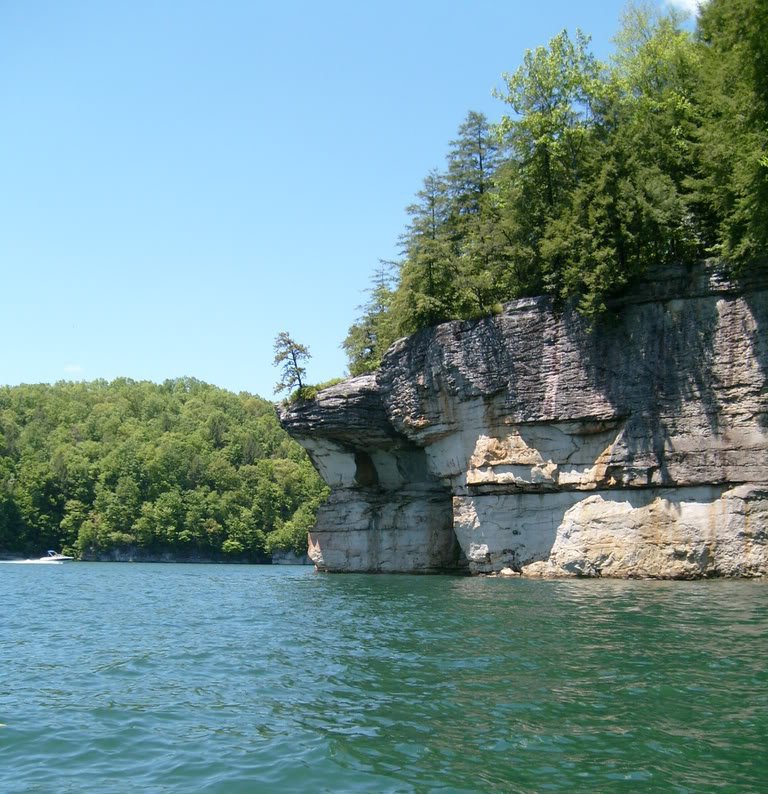 SenatorNation's tweet photo. There aren't many places you can find a swimming hole or place to kayak with a backdrop like this #WhyWV https://t.co/GstMopQkEw